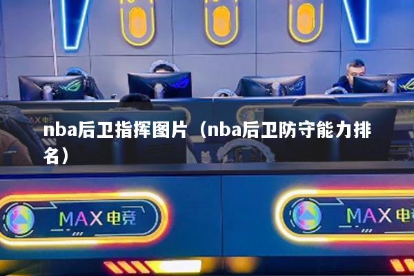 nba后衛(wèi)指揮圖片（nba后衛(wèi)防守能力排名）