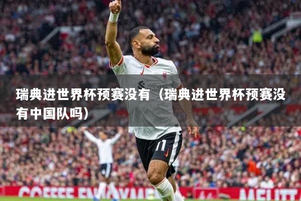 瑞典進世界杯預(yù)賽沒有（瑞典進世界杯預(yù)賽沒有中國隊嗎）