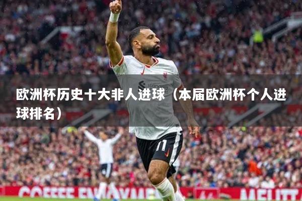 歐洲杯歷史十大非人進(jìn)球（本屆歐洲杯個人進(jìn)球排名）