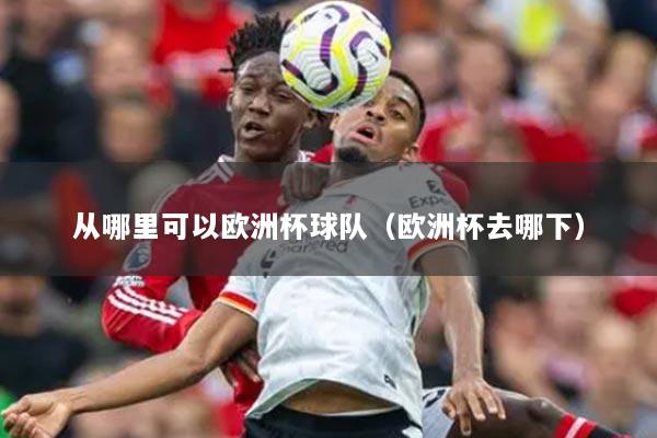 從哪里可以歐洲杯球隊（歐洲杯去哪下）