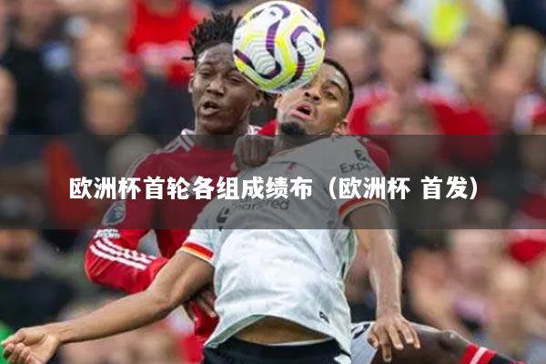 歐洲杯首輪各組成績(jī)布（歐洲杯 首發(fā)）