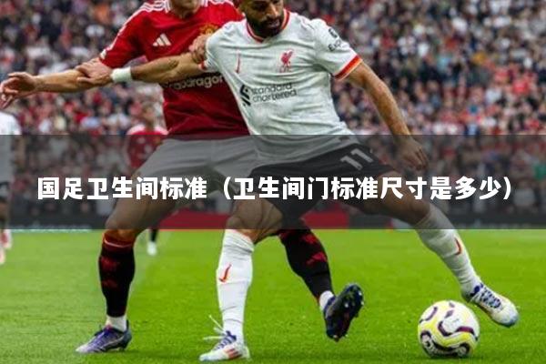 國足衛(wèi)生間標準（衛(wèi)生間門標準尺寸是多少）