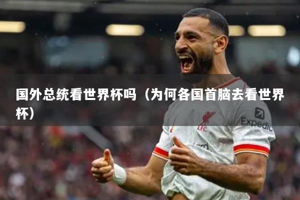 國(guó)外總統(tǒng)看世界杯嗎（為何各國(guó)首腦去看世界杯）