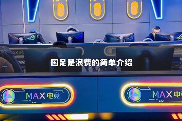 國(guó)足是浪費(fèi)的簡(jiǎn)單介紹