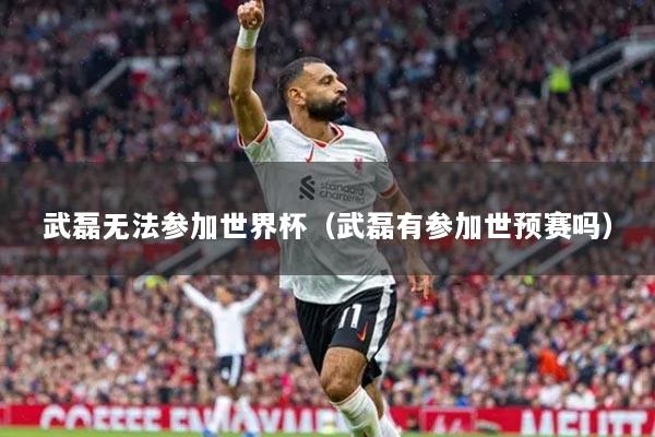 武磊無法參加世界杯（武磊有參加世預賽嗎）