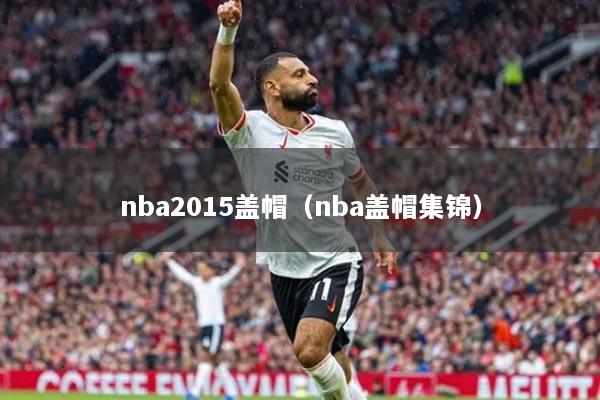 nba2015蓋帽（nba蓋帽集錦）