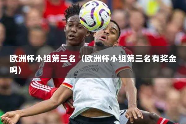 歐洲杯小組第三名（歐洲杯小組第三名有獎金嗎）