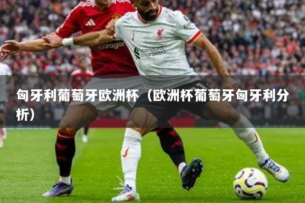 匈牙利葡萄牙歐洲杯（歐洲杯葡萄牙匈牙利分析）