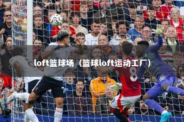 loft籃球場（籃球loft運(yùn)動工廠）